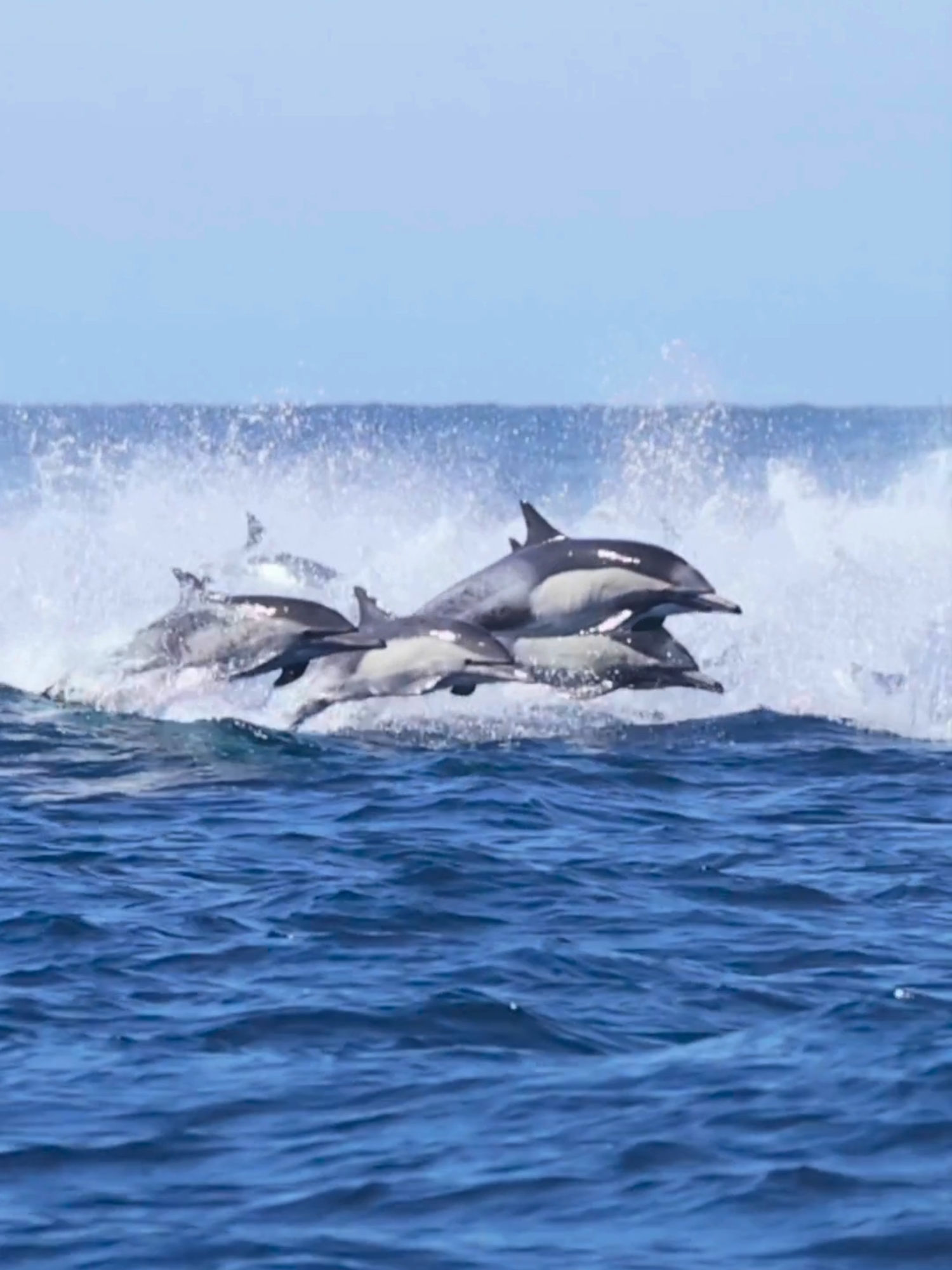 Video post by @foxweather on TikTok