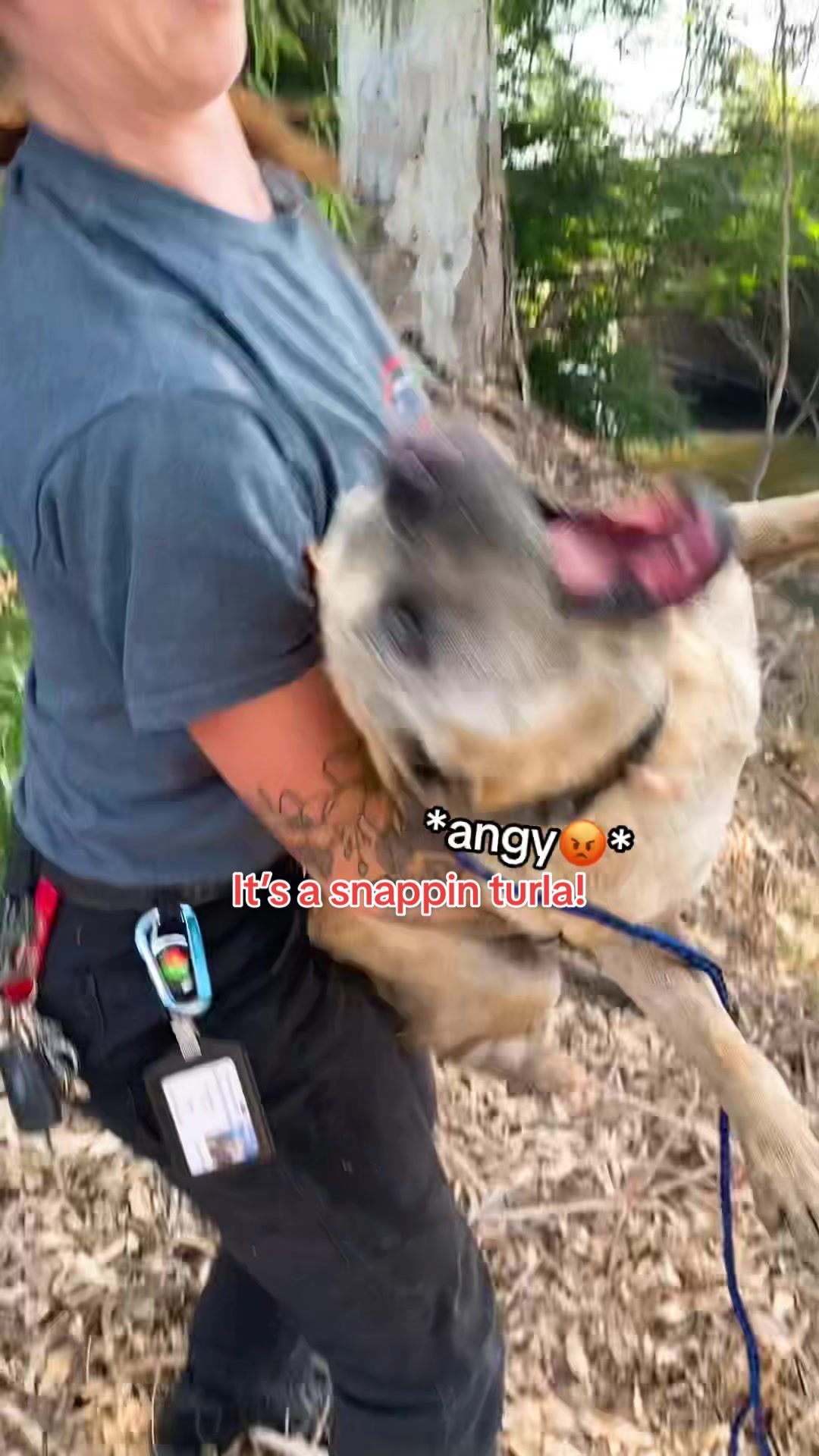 Video post by @acobegin on TikTok