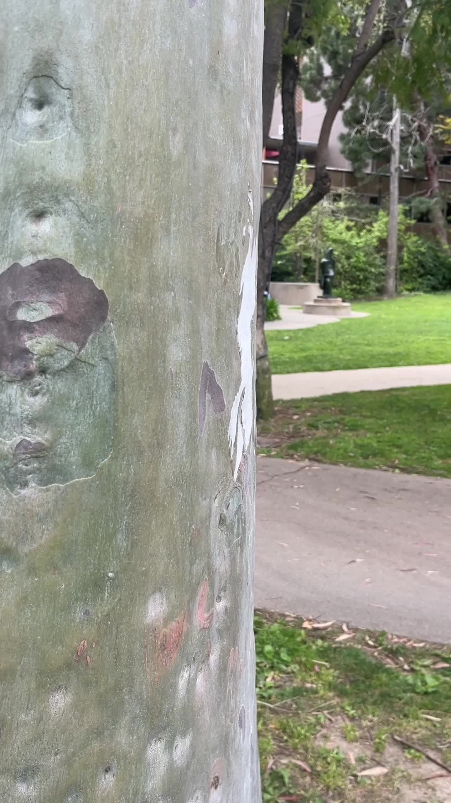 Video post by @bryce.l.fleming on TikTok