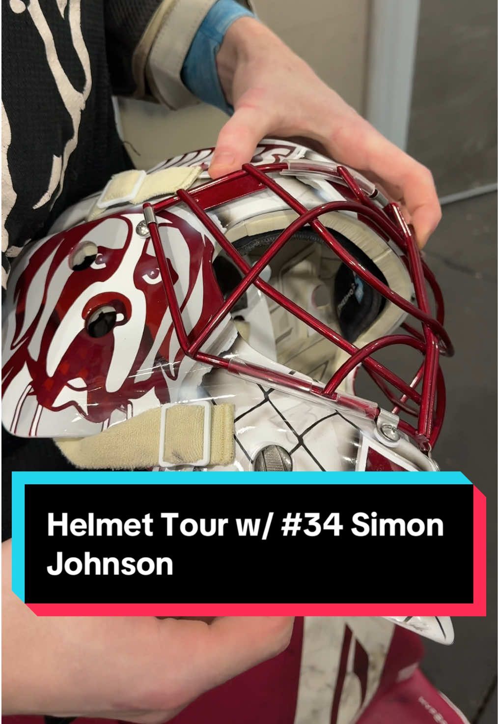 Video post by @aqhockey on TikTok