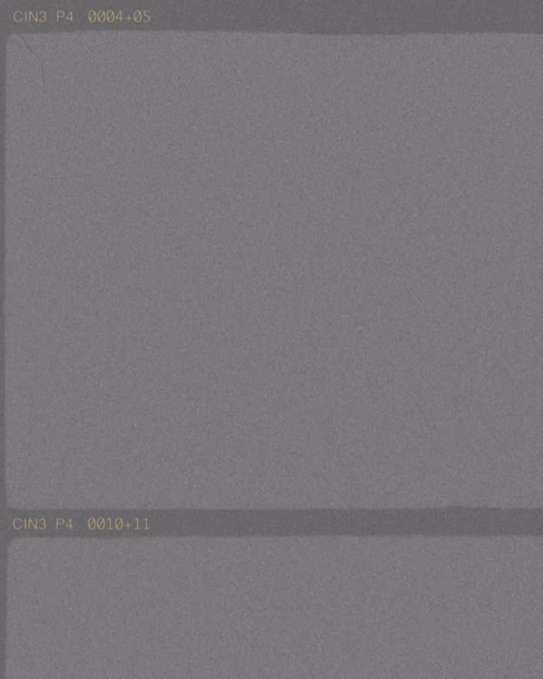 Video post by @laubhanvisuals on TikTok