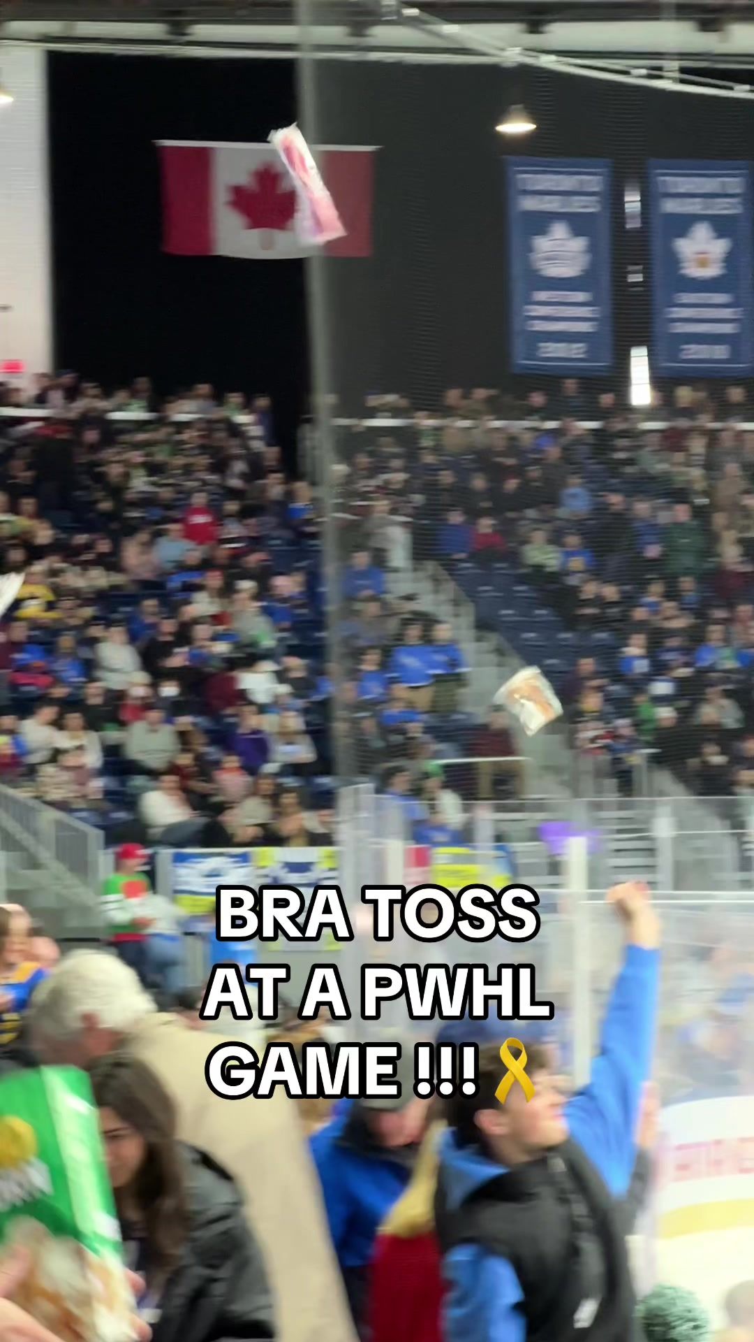 Video post by @jocksinjills on TikTok