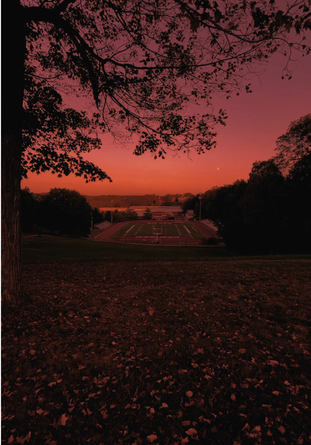 Video post by @denisonuniversity on TikTok