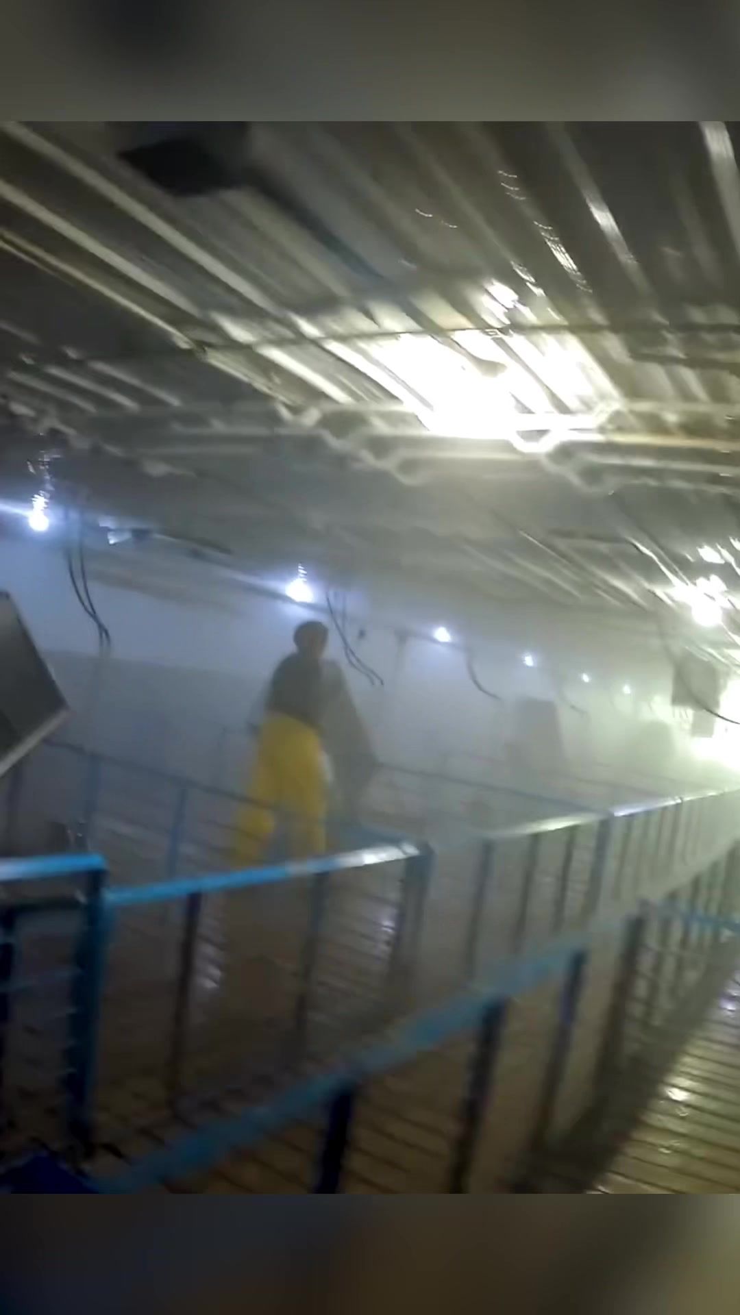 Video post by @thislldofarm on TikTok