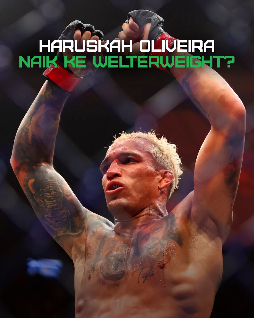 Video post by @mola.sport on TikTok