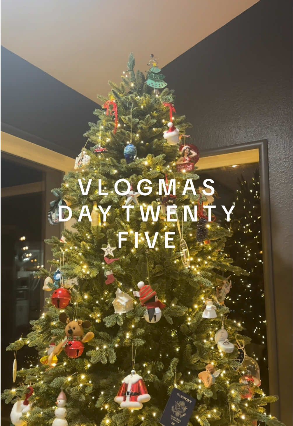 Video post by @sidandbrianne on TikTok