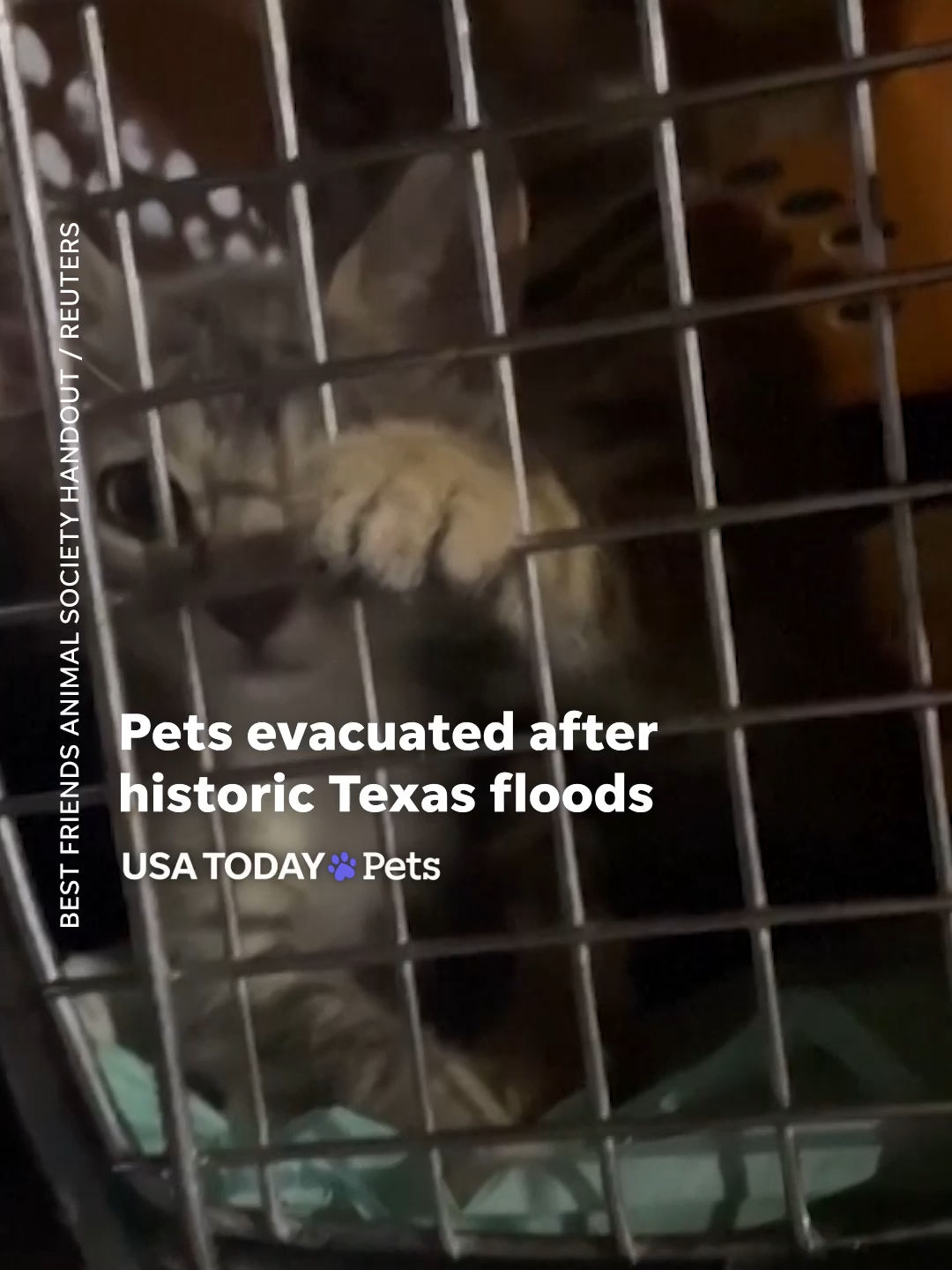 Video post by @usatoday on TikTok