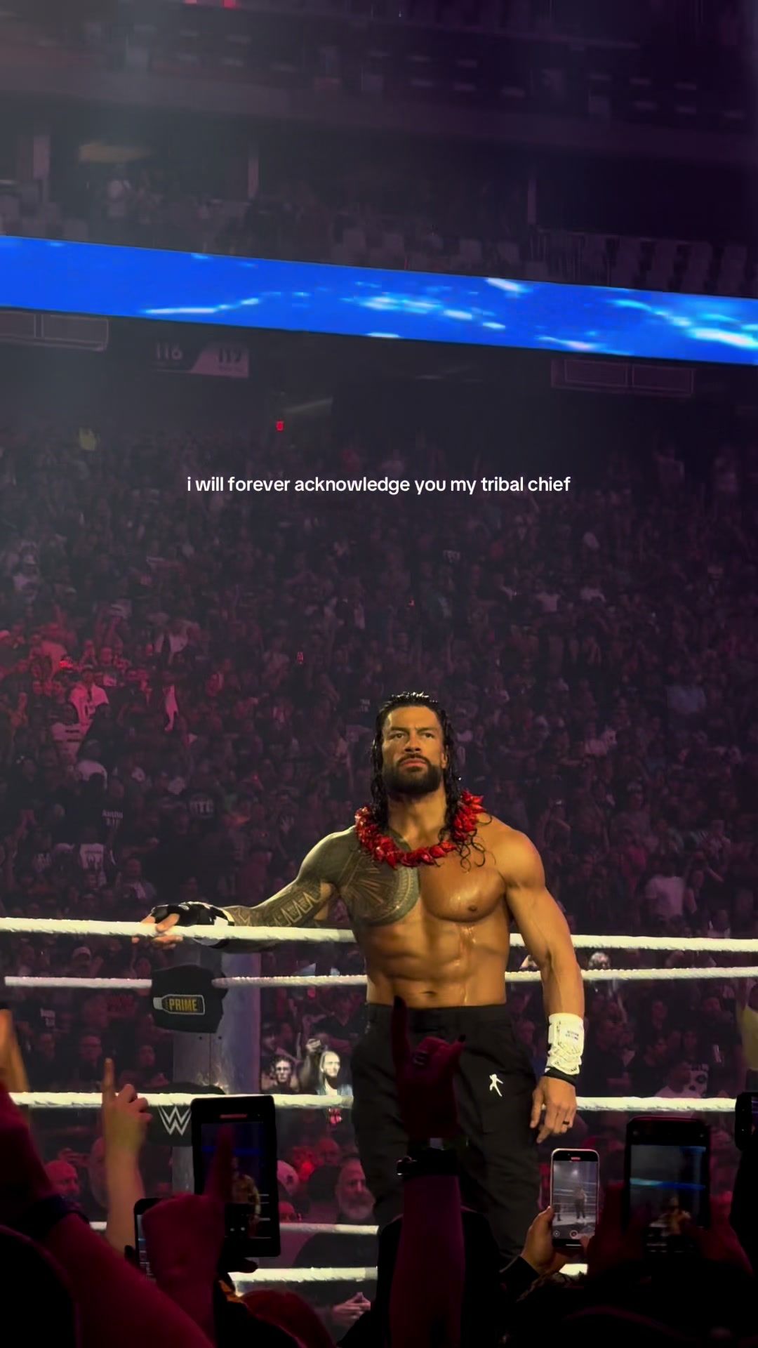 Video post by @heavenly.torres on TikTok