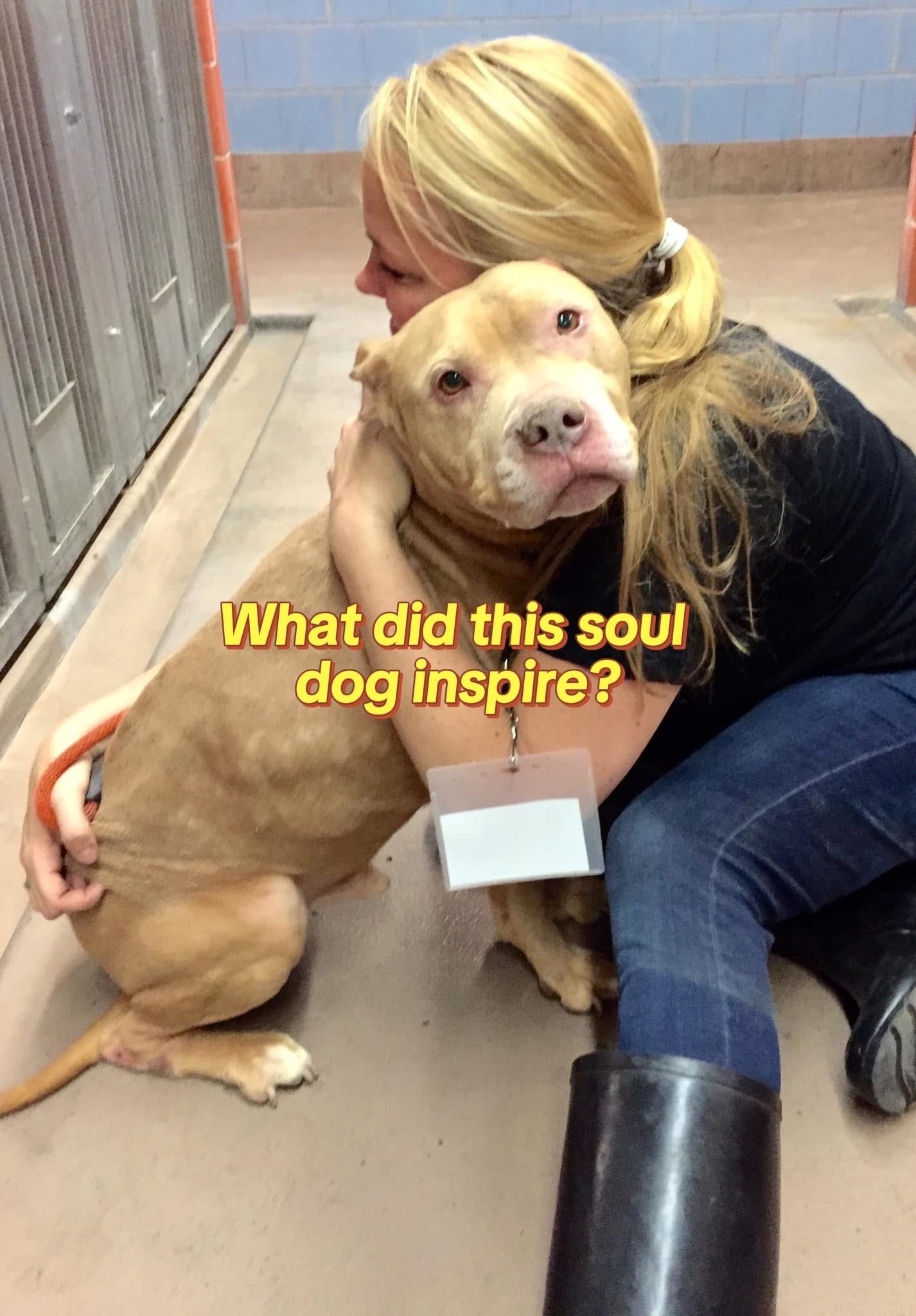 Video post by @livelikeroofoundation on TikTok