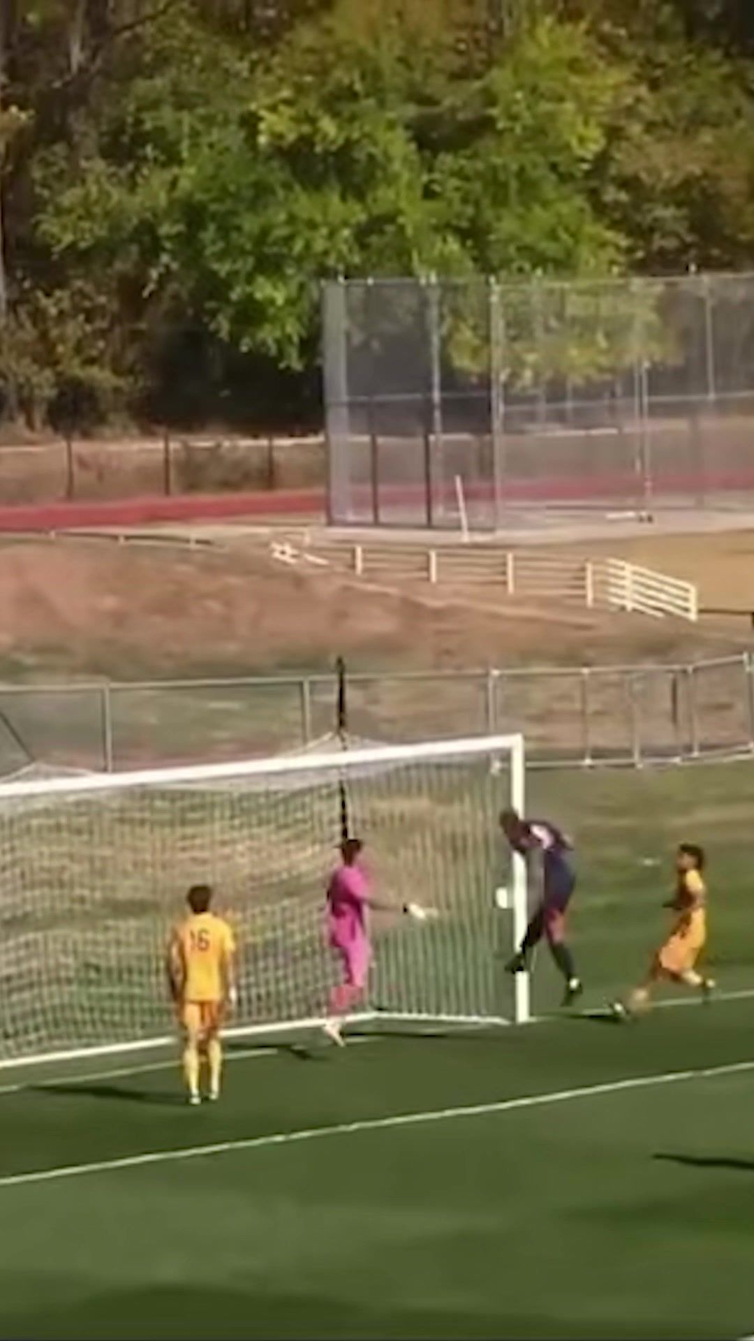 Video post by @mnusports on TikTok