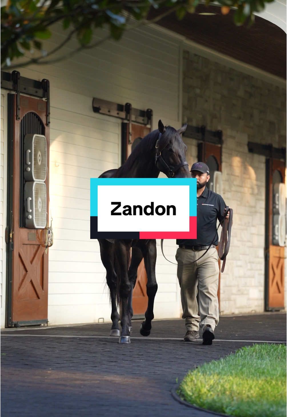 Video post by @spendthriftfarm on TikTok