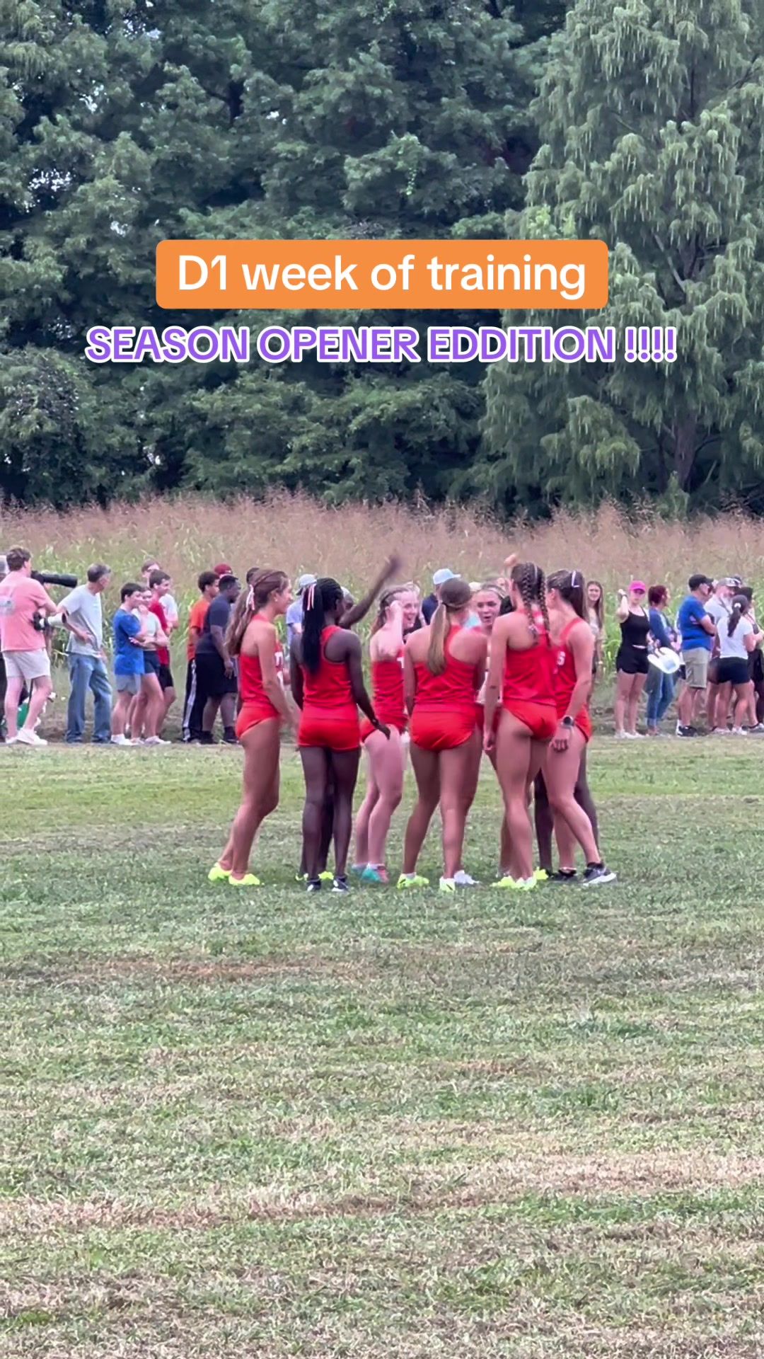 Video post by @goodfoodgoodrun on TikTok