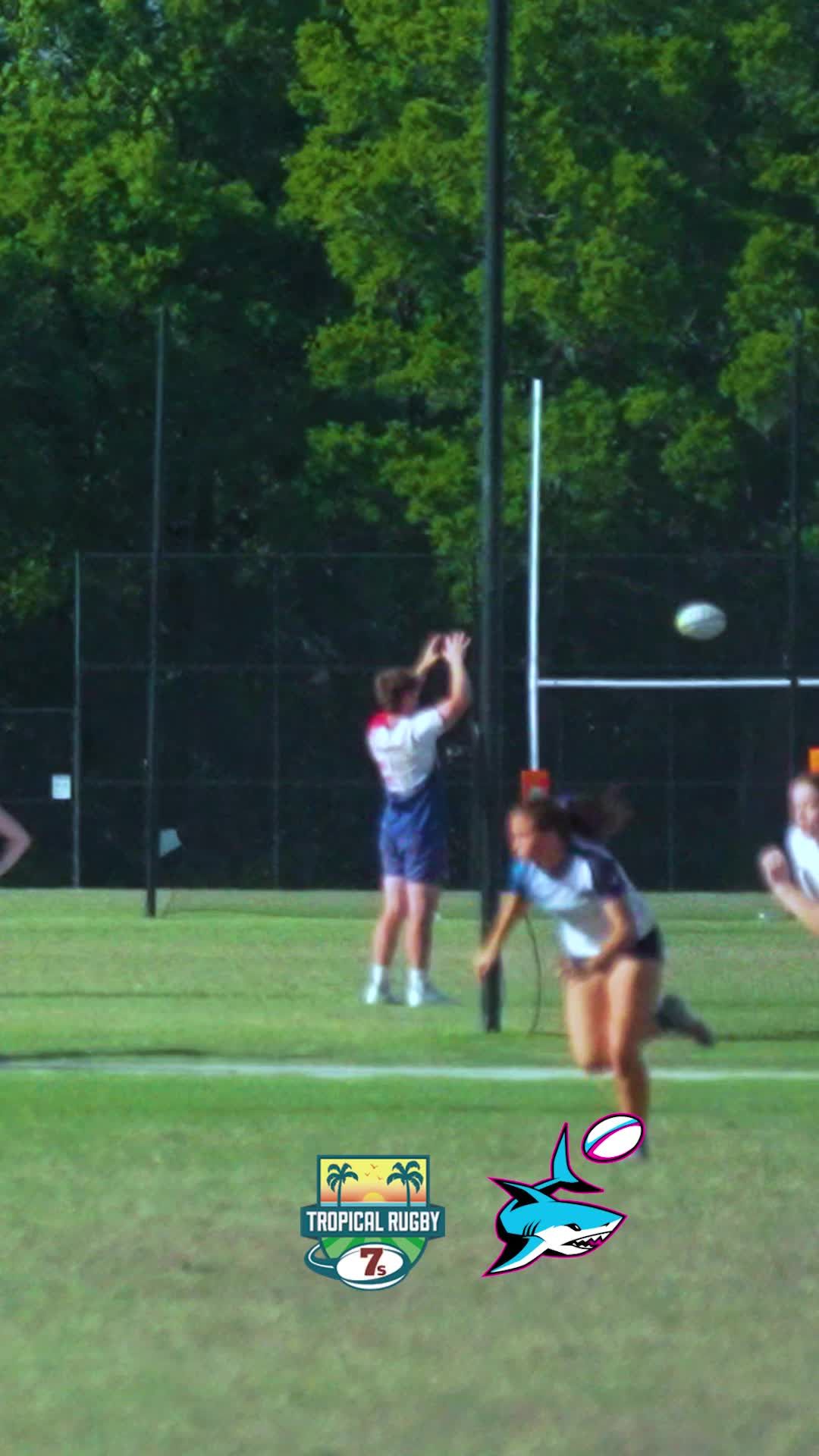 Video post by @tropical_7s on TikTok