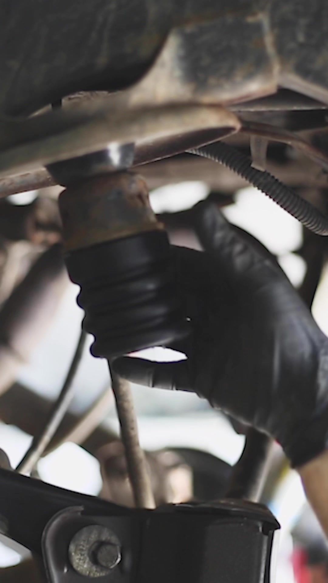 Video post by @superspringsint on TikTok