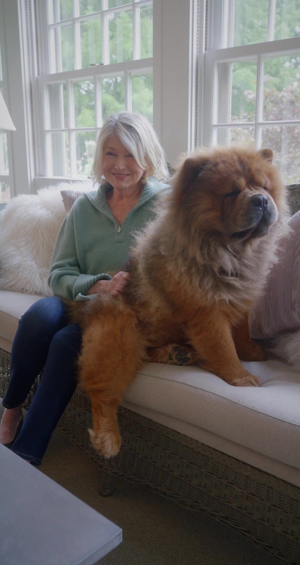 Video post by @bookingcom on TikTok