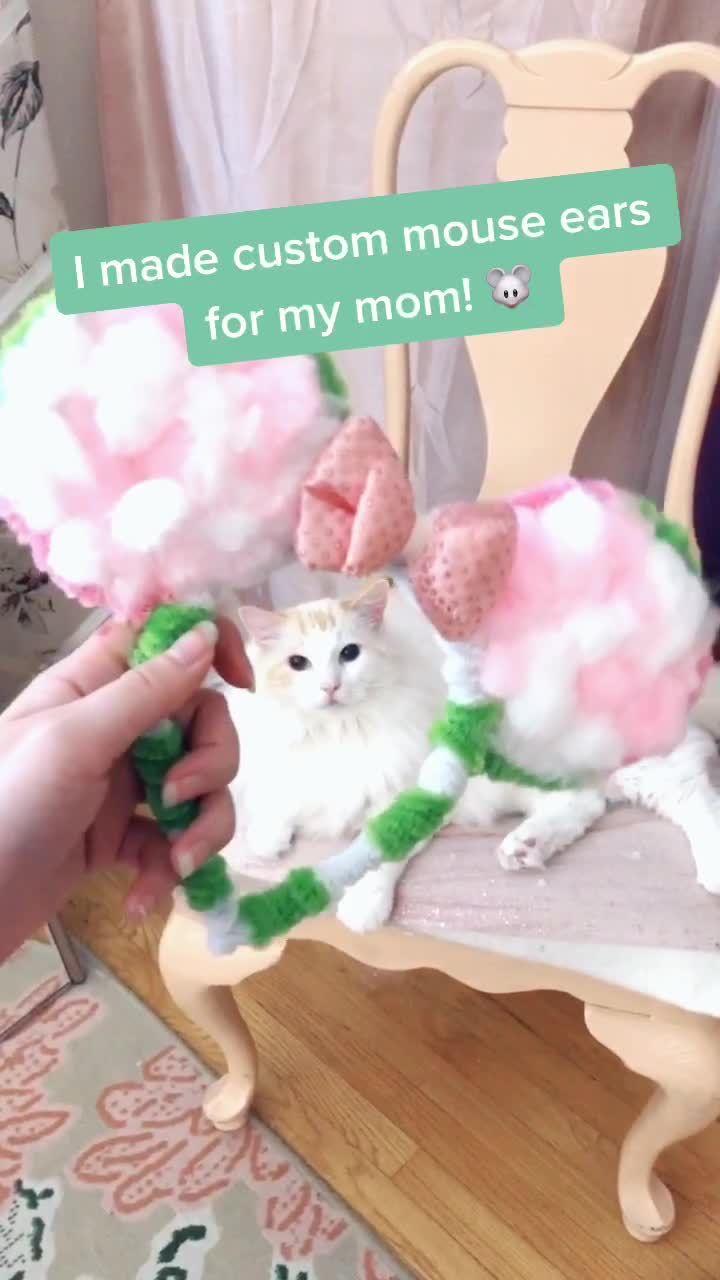 Video post by @snugzmeow on TikTok