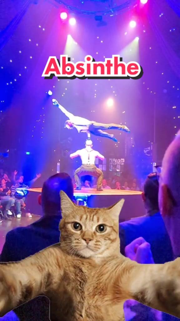 Video post by @spiegelworld on TikTok