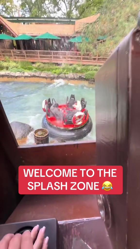 Video post by @whistle on TikTok