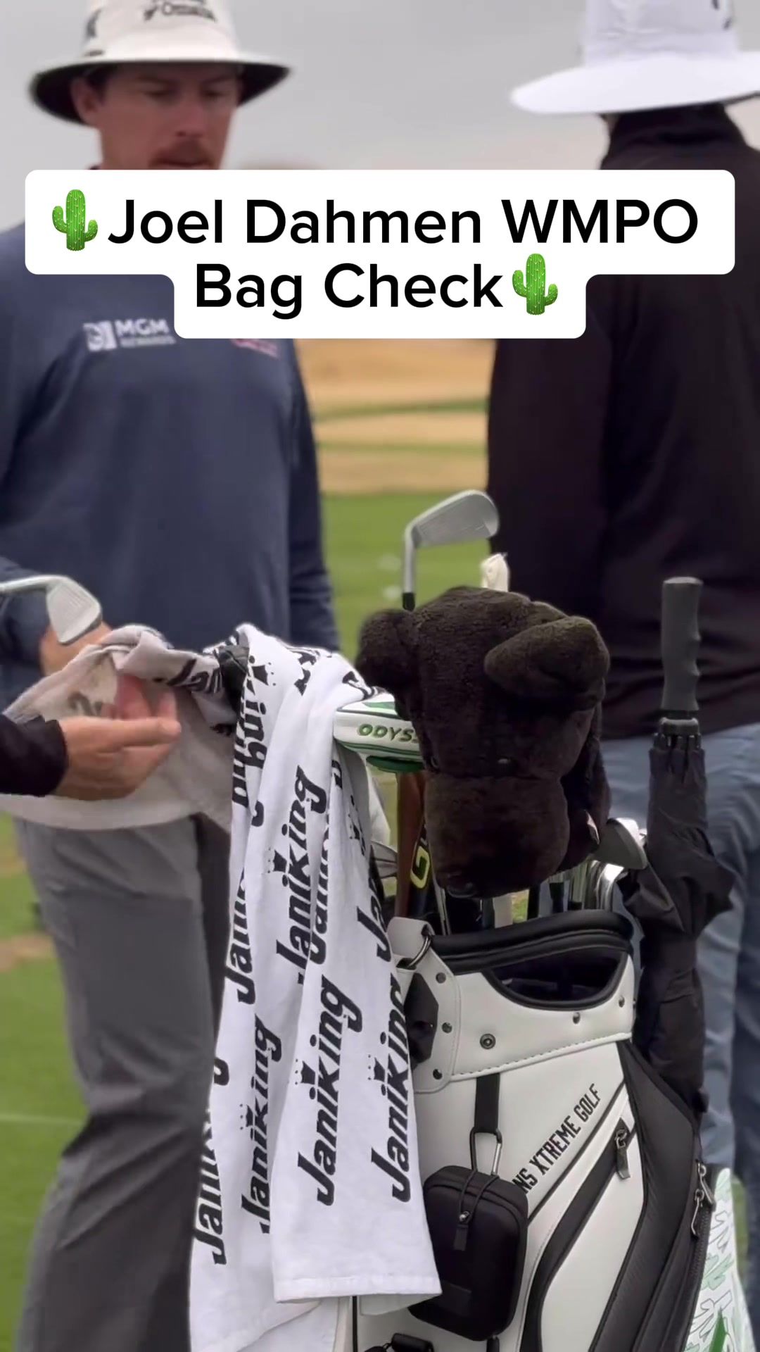 Video post by @daphnesheadcovers on TikTok