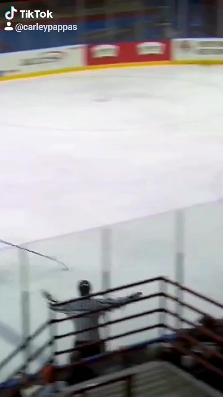 Video post by @carleypappas on TikTok