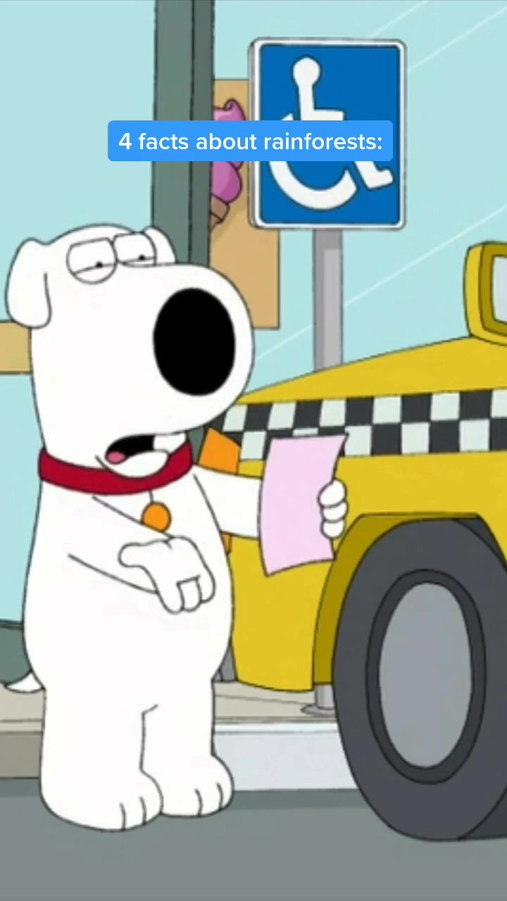 Video post by @tbsnetwork on TikTok