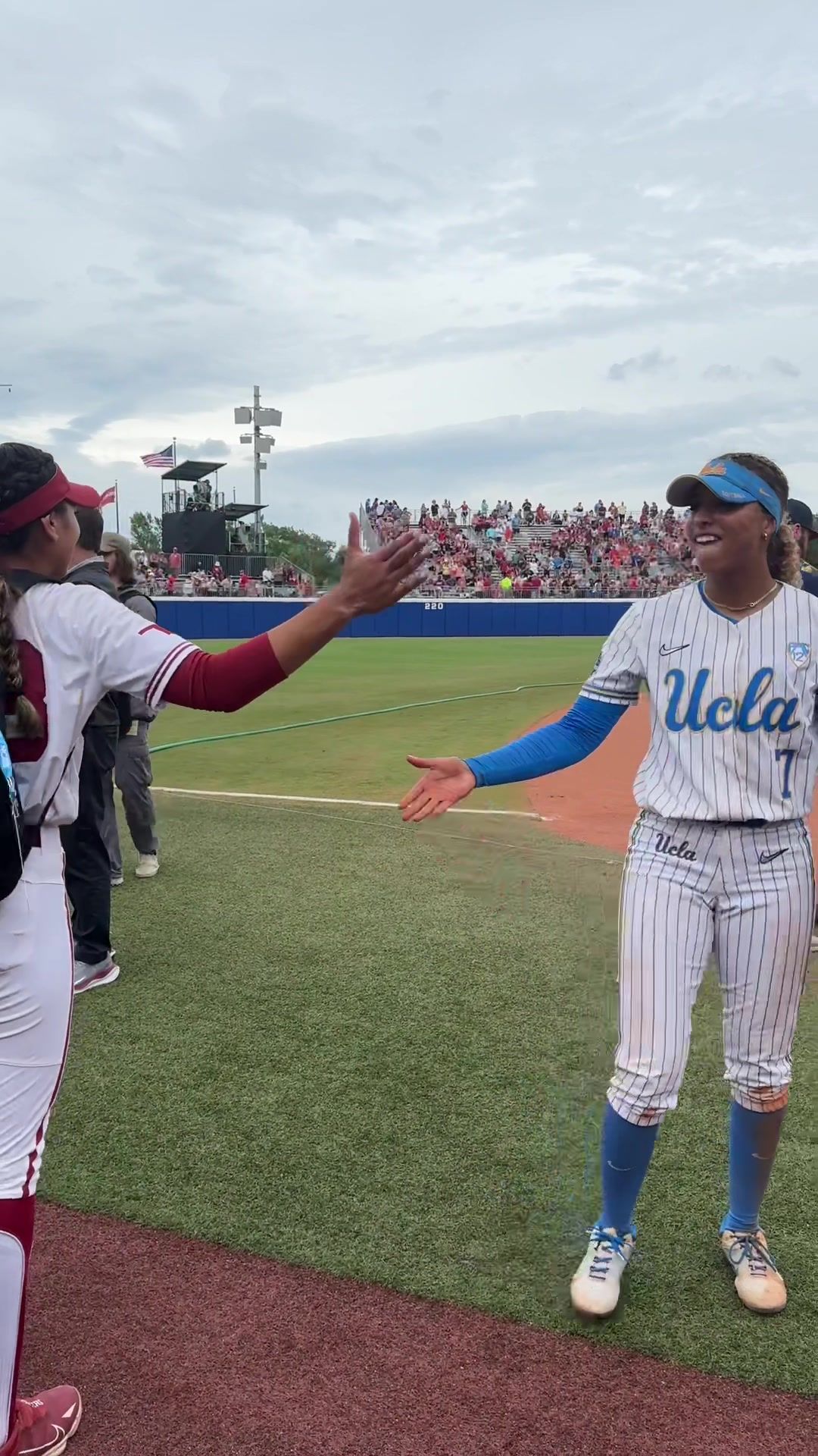 Video post by @michellachester on TikTok