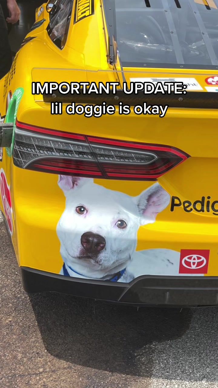 Video post by @nascar on TikTok