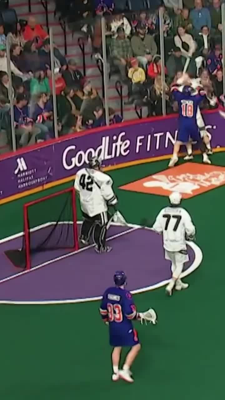 Video post by @vegasdesertdogs on TikTok