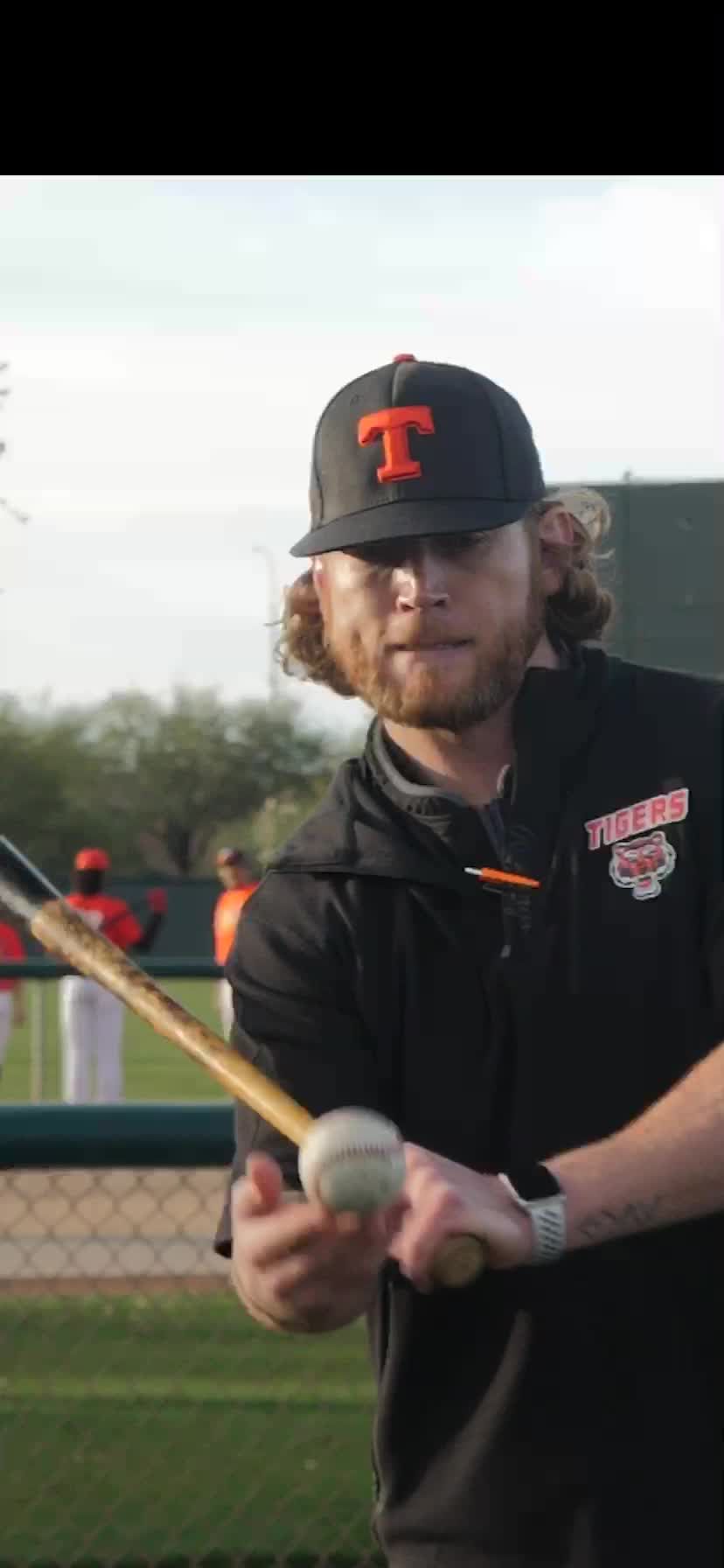 Video post by @rawlingstigers_ on TikTok