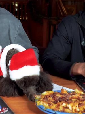 Video post by @itscrossoverseason on TikTok