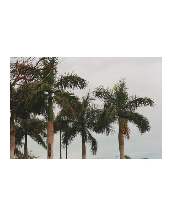 Image post by @tyrajenaemedia on Facebook