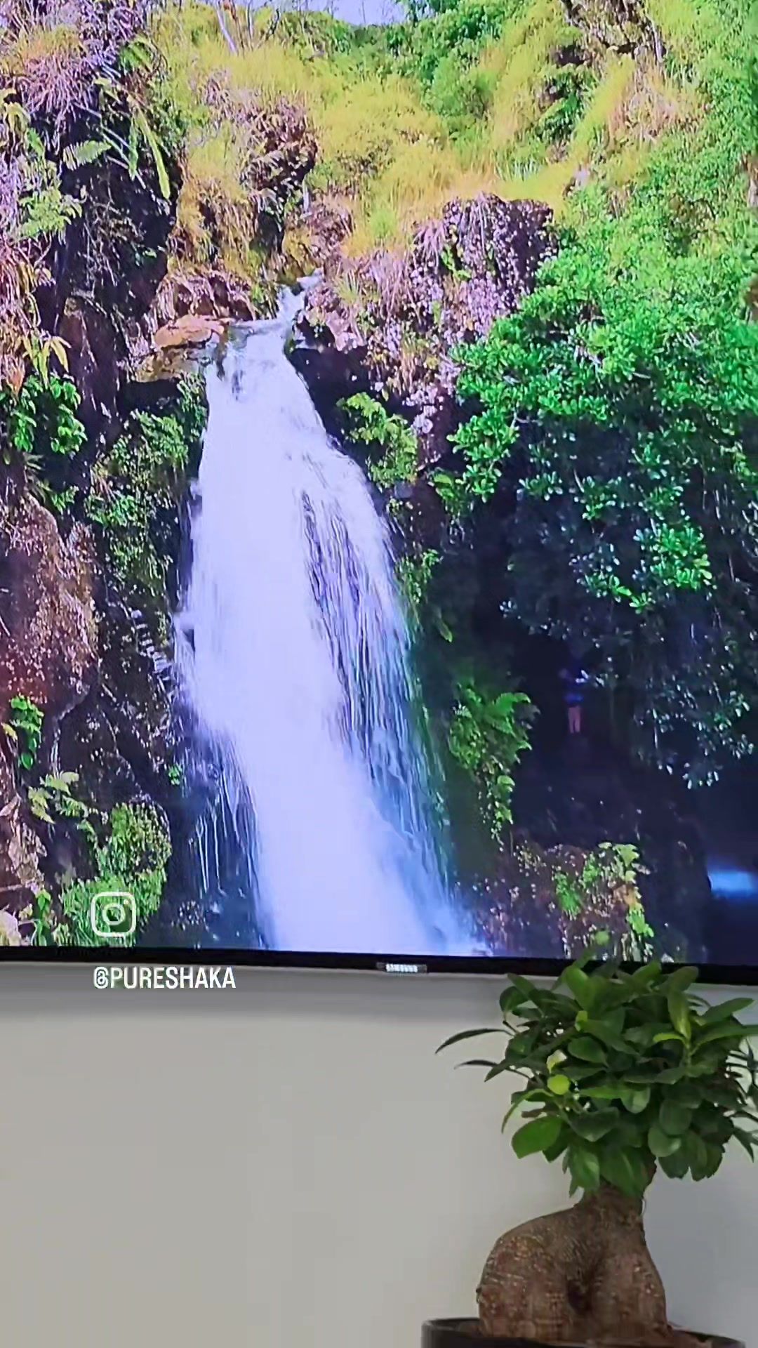 Video post by @pureshaka on TikTok