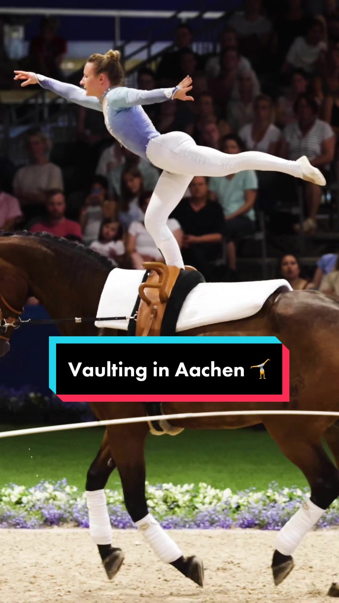 Video post by @usequestrian on TikTok