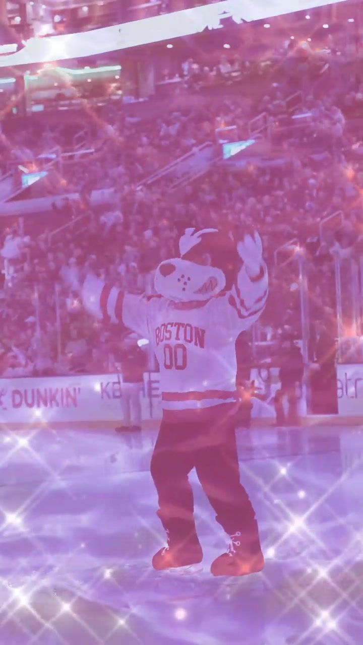 Video post by @bostonu on TikTok