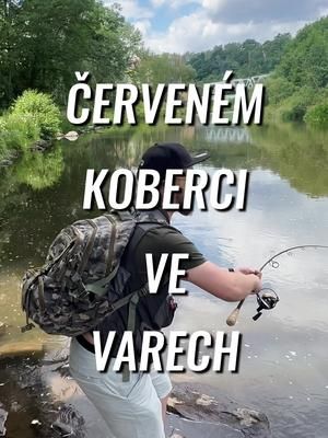 Video post by @realjonaseder on TikTok