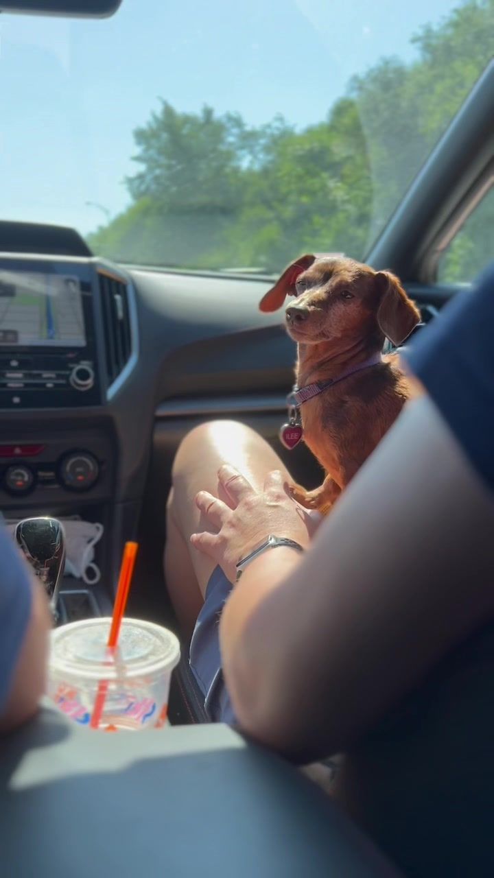 Video post by @_theilee_ on TikTok