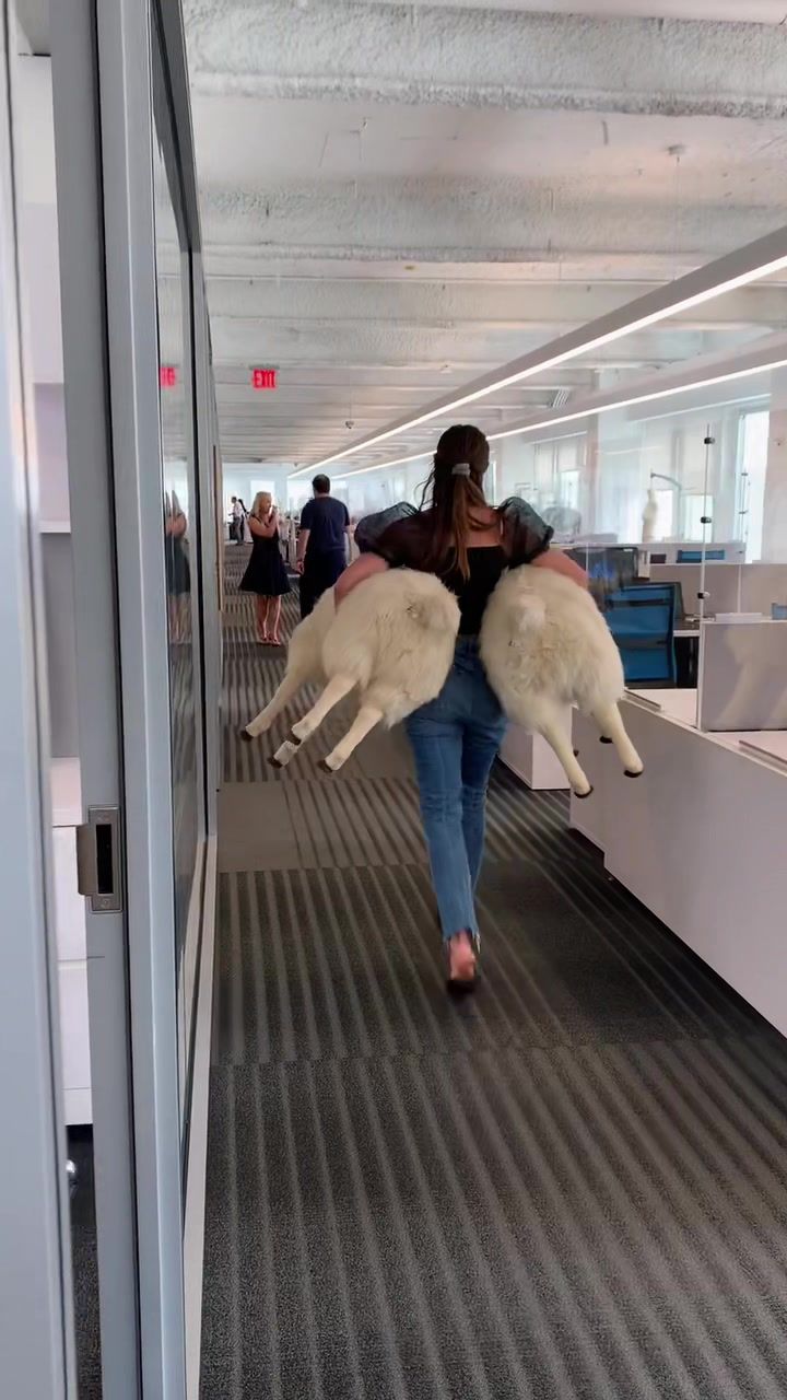 Video post by @brooksbrothers on TikTok