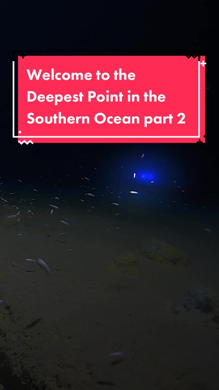 Video post by @sciencechannel on TikTok