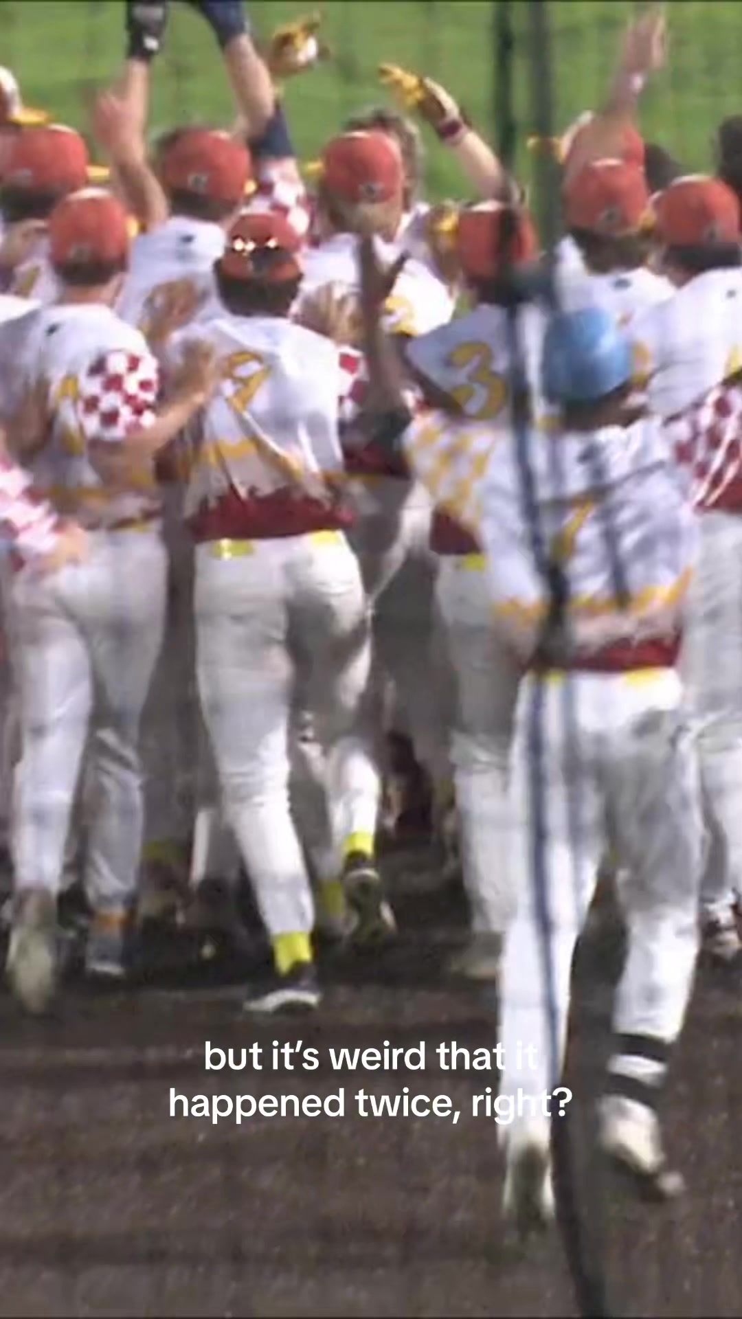 Video post by @madisonmallards on TikTok