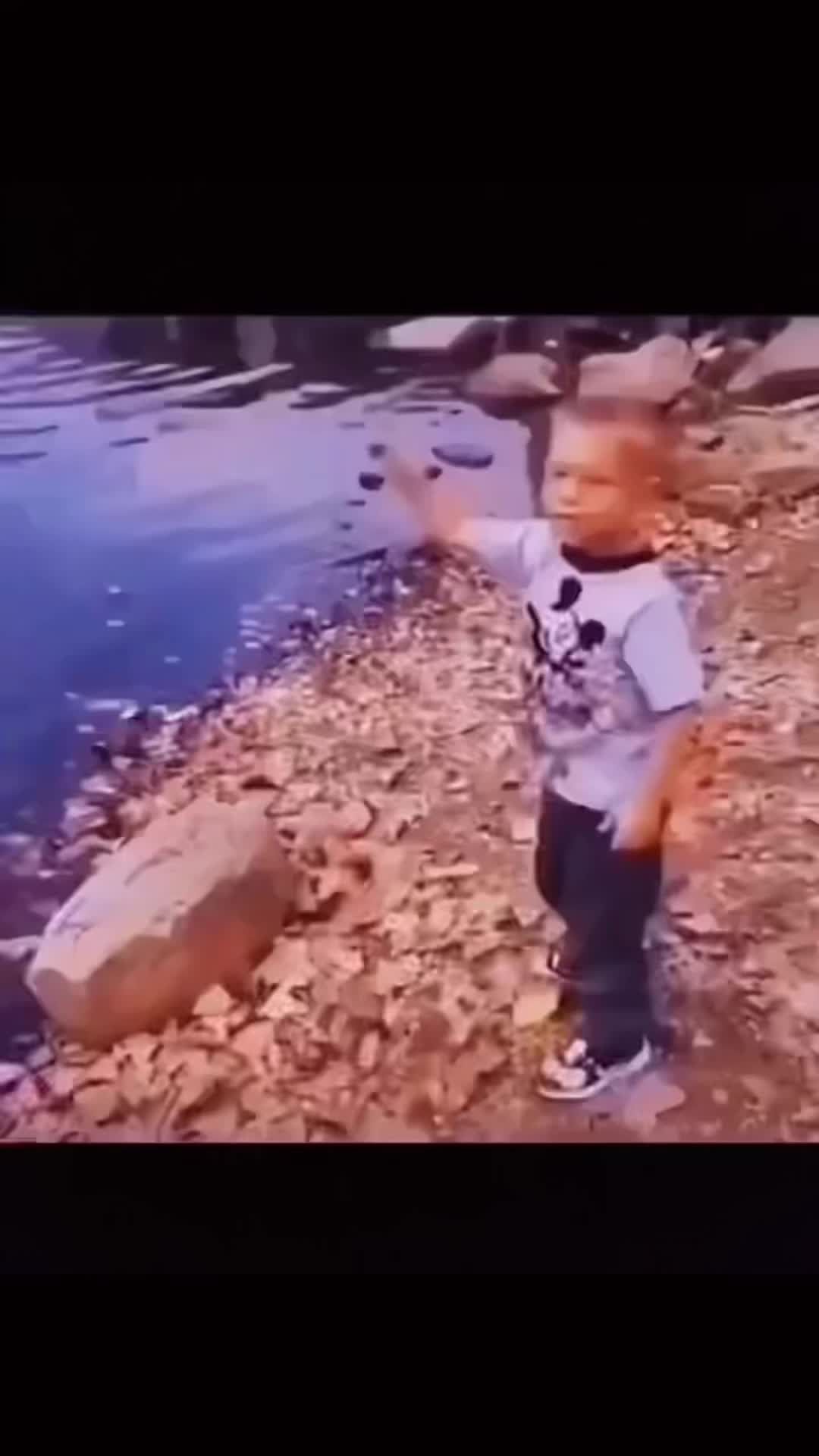 Video post by @wnmuathletics_ on TikTok