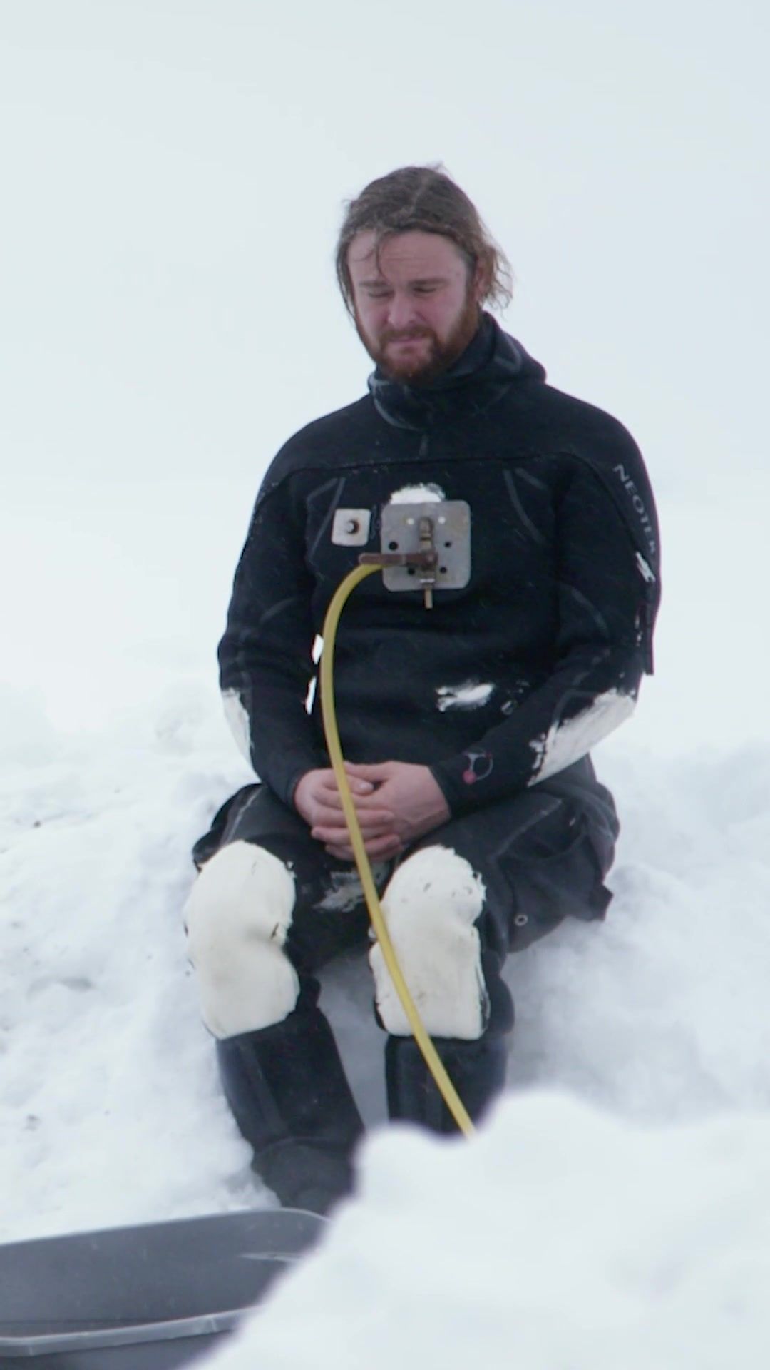 Video post by @discovery on TikTok