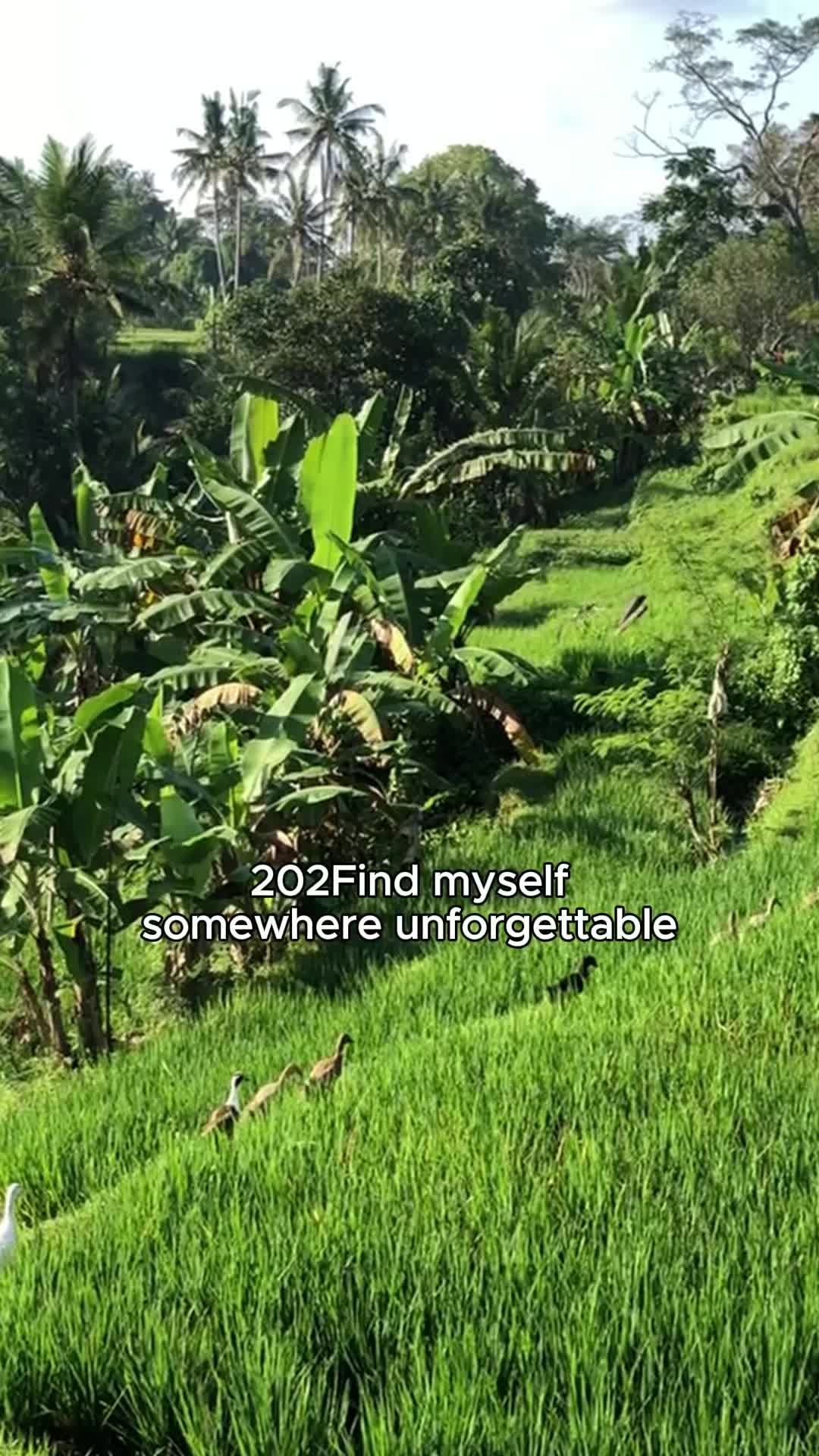 Video post by @visa on TikTok