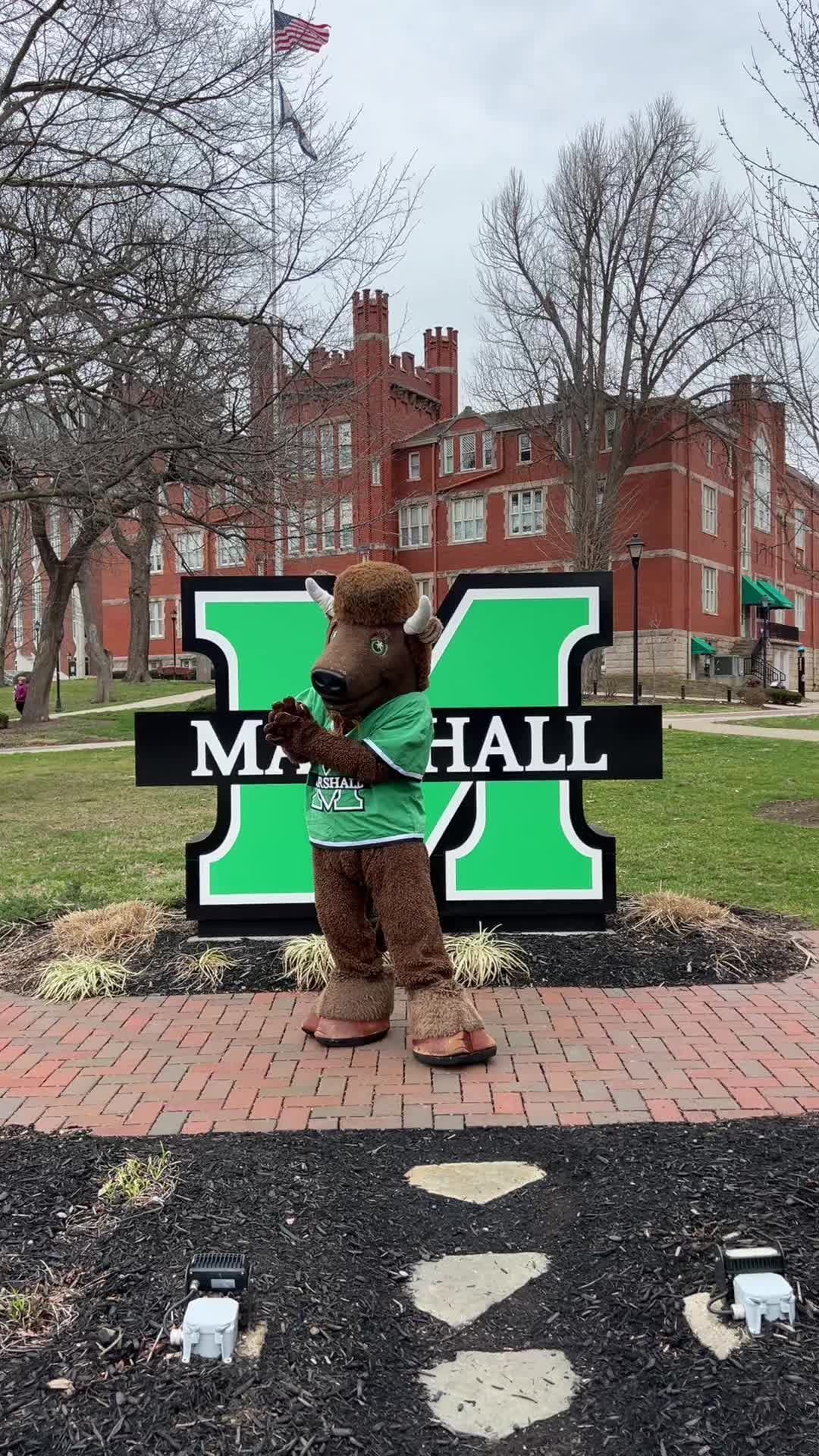 Video post by @marshallufamily on TikTok