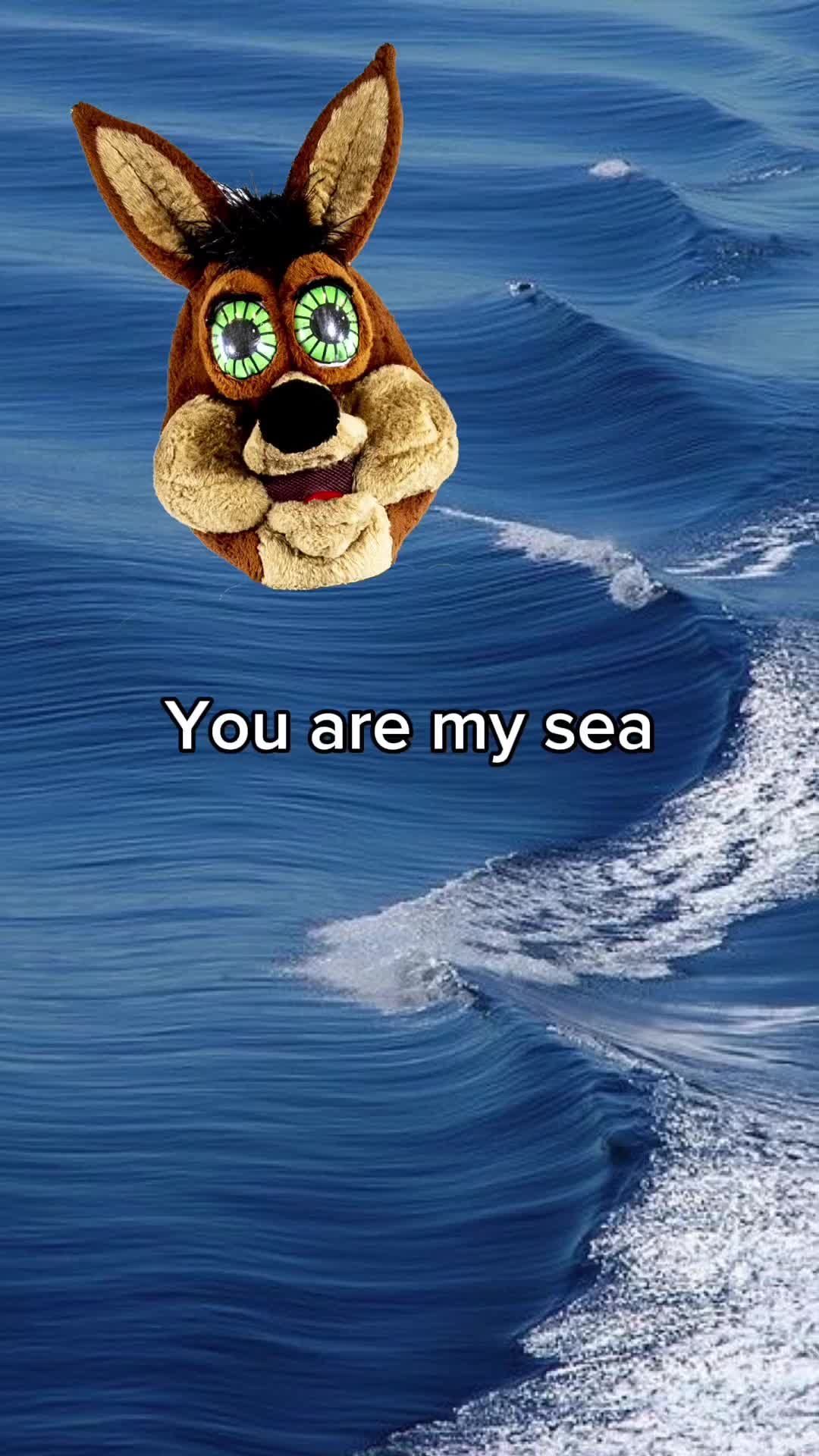 Video post by @spurs on TikTok