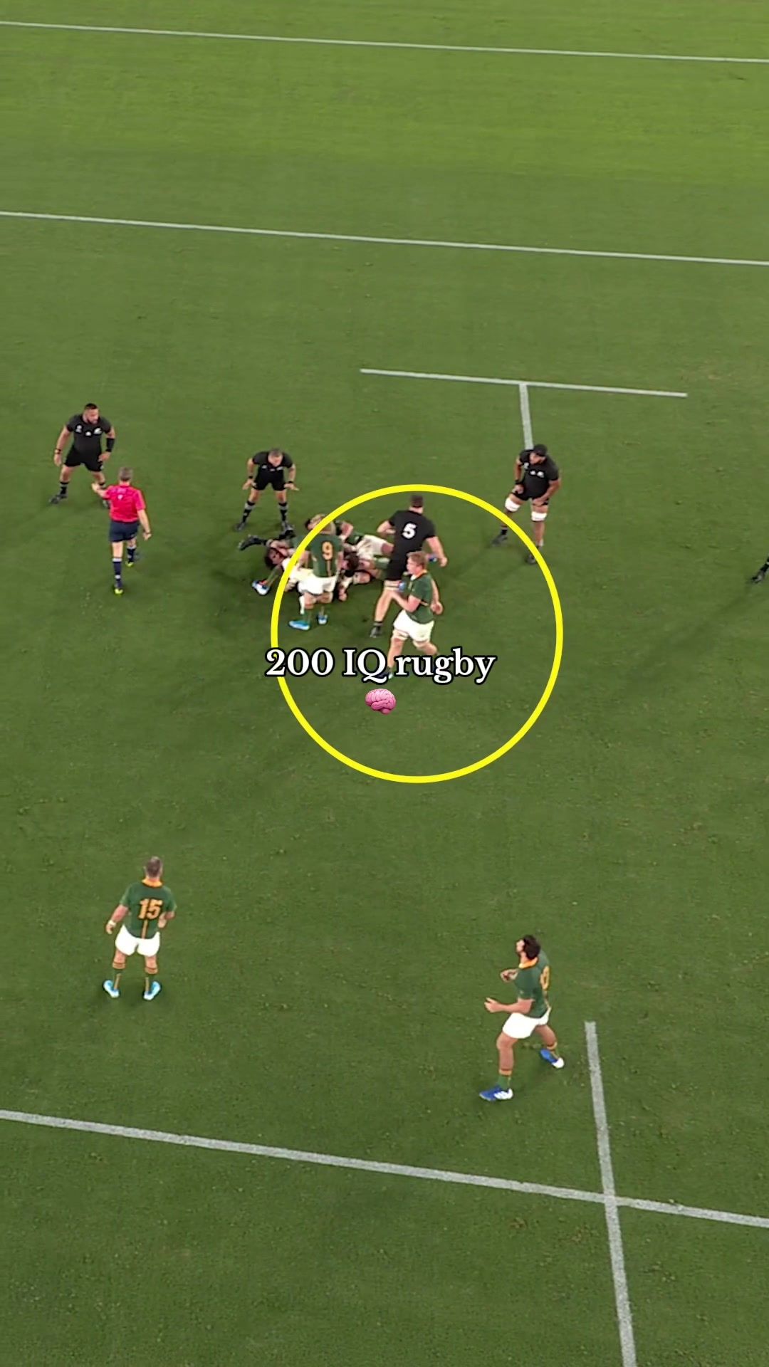 Video post by @rugbyworldcup on TikTok