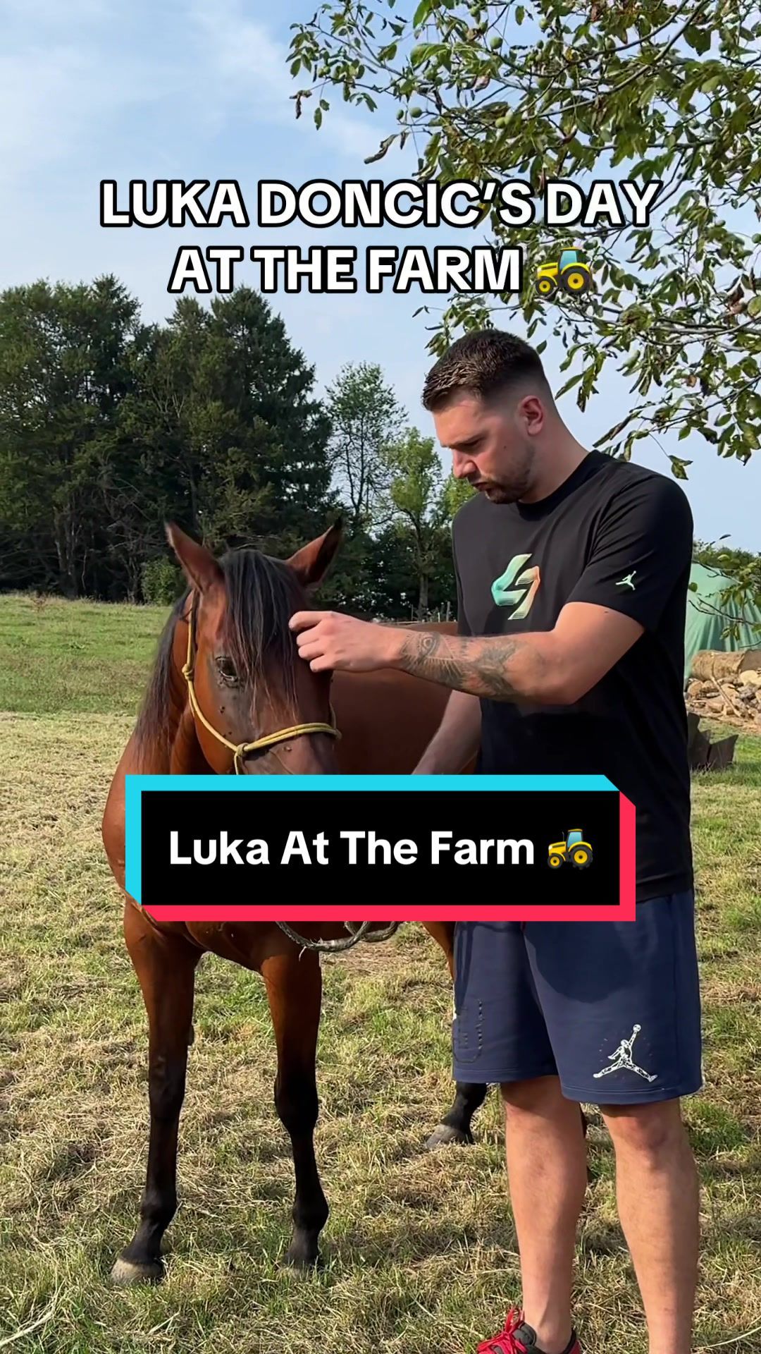 Video post by @nba on TikTok