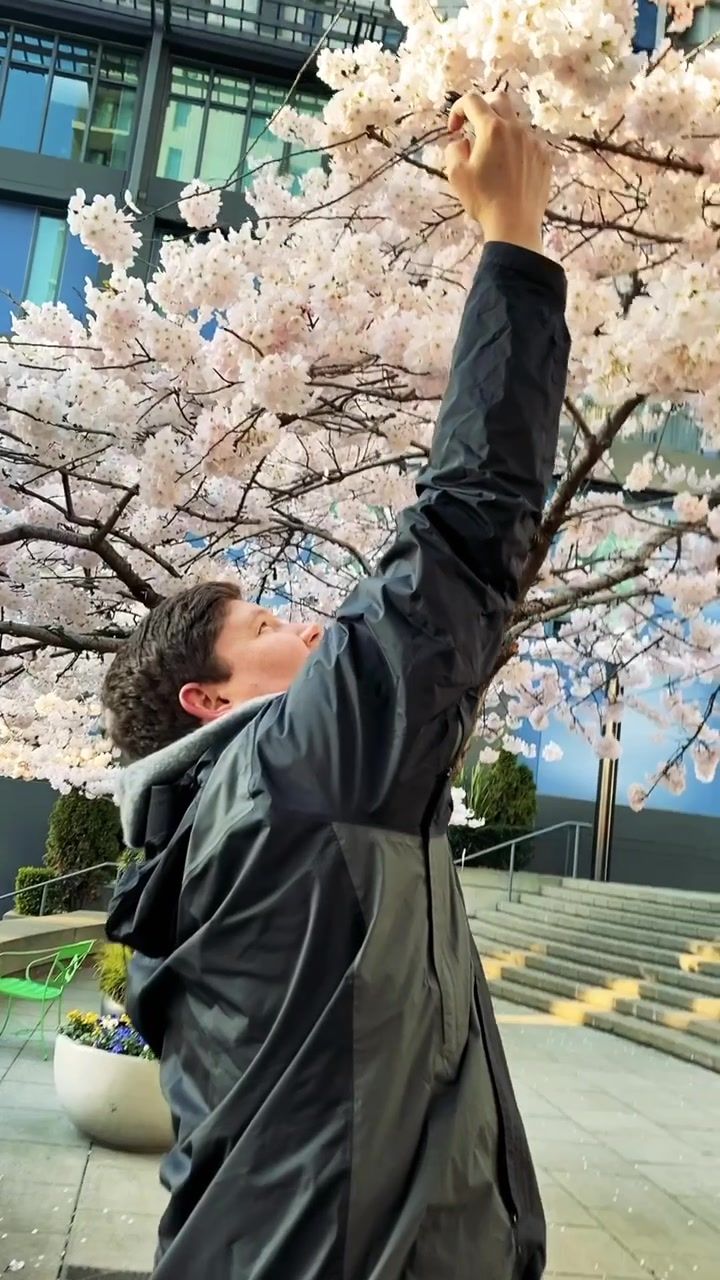 Video post by @brianbosche on TikTok