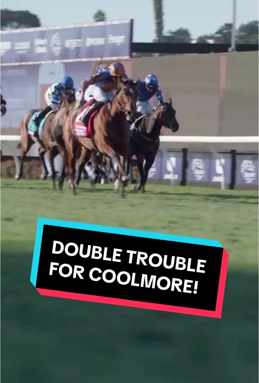Video post by @worldhorseracing on TikTok