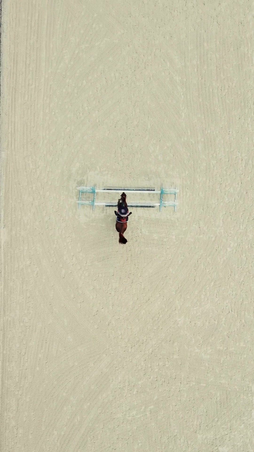 Video post by @furyphotography on TikTok