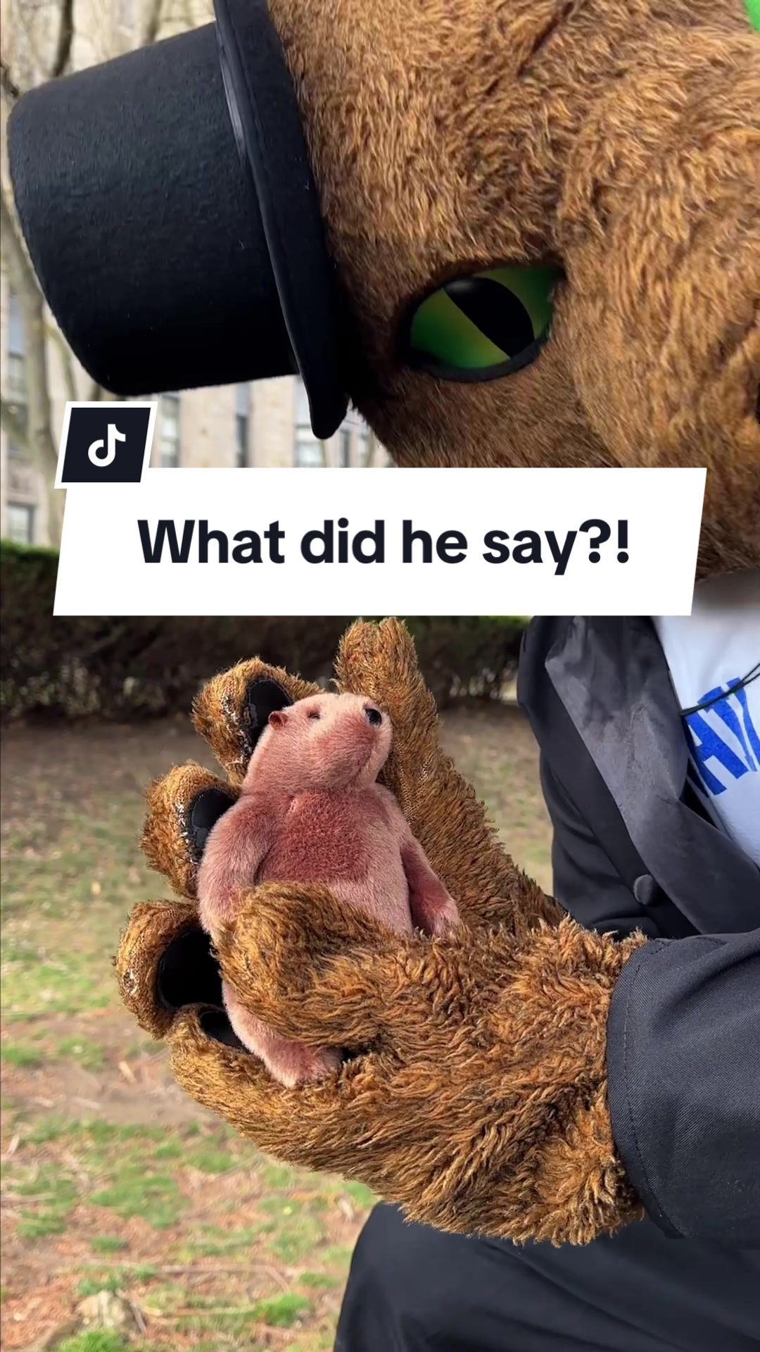 Video post by @pittofficial on TikTok